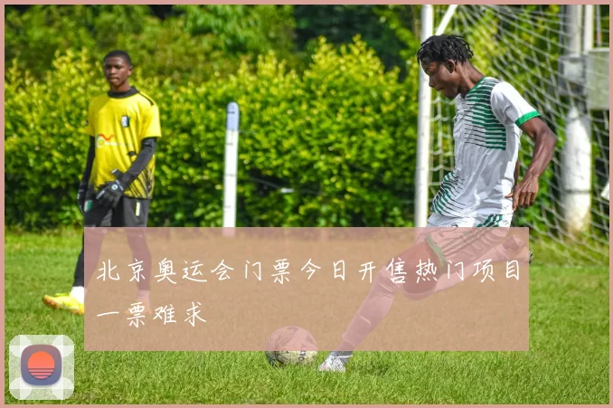 北京奥运会门票今日开售热门项目一票难求