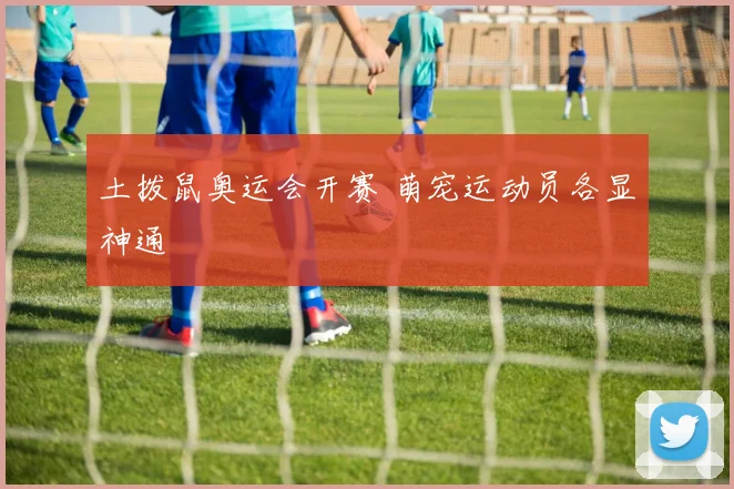 土拨鼠奥运会开赛 萌宠运动员各显神通