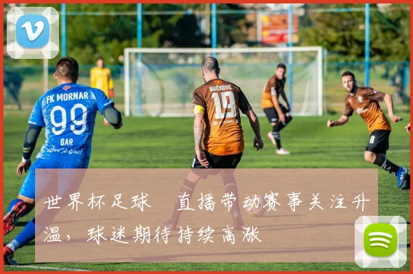 世界杯足球賽直播带动赛事关注升温，球迷期待持续高涨