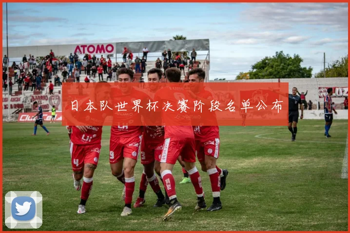 日本队世界杯决赛阶段名单公布